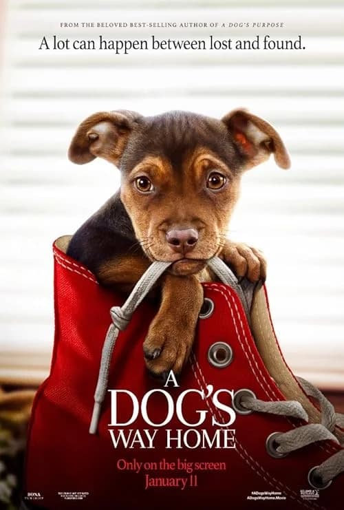 A Dog's Way Home film posteri