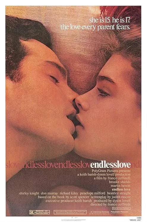 Endless Love film posteri